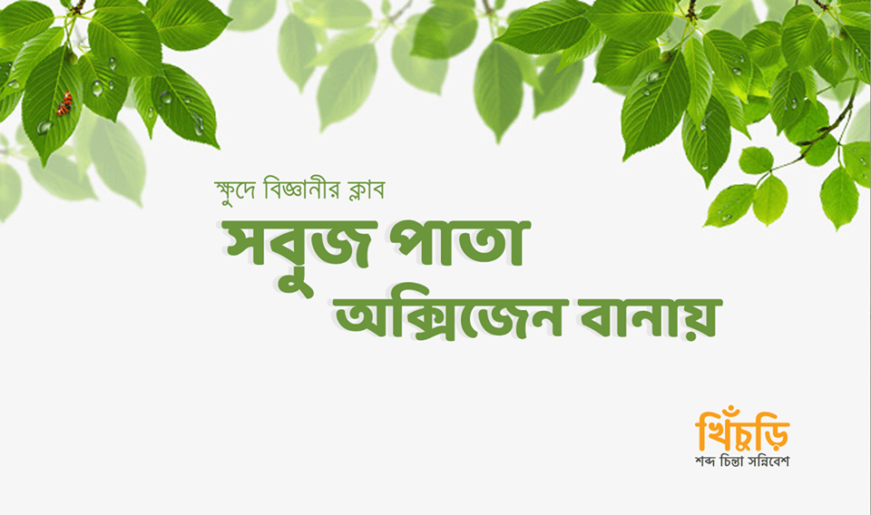 সবুজ পাতা অক্সিজেন বানায়