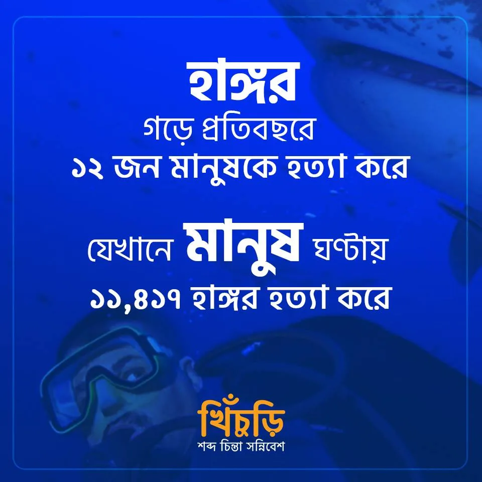 তথ্য খিচুড়ি #2145