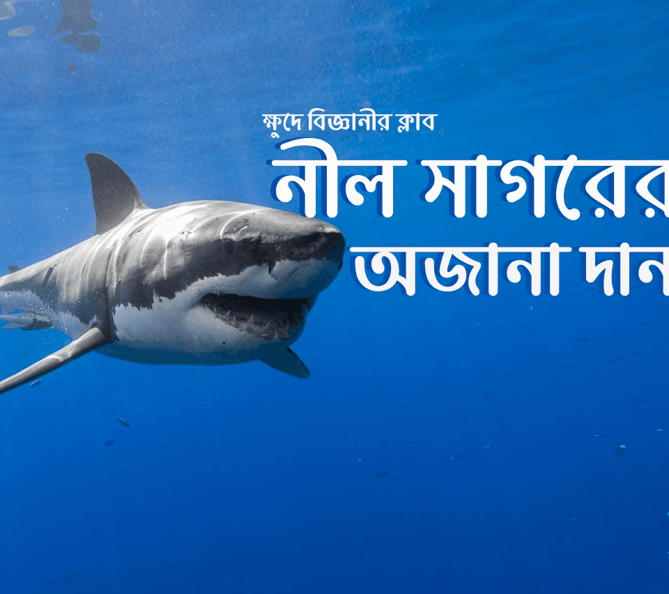 নীল সাগরের অজানা দানব