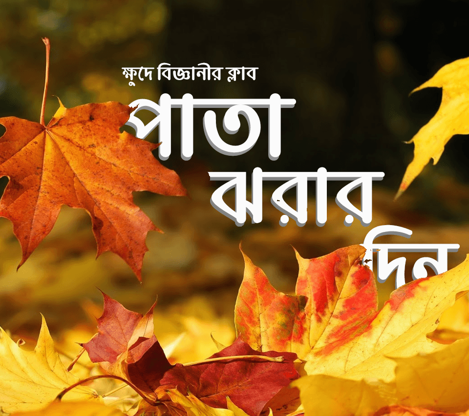 পাতা ঝরার দিন