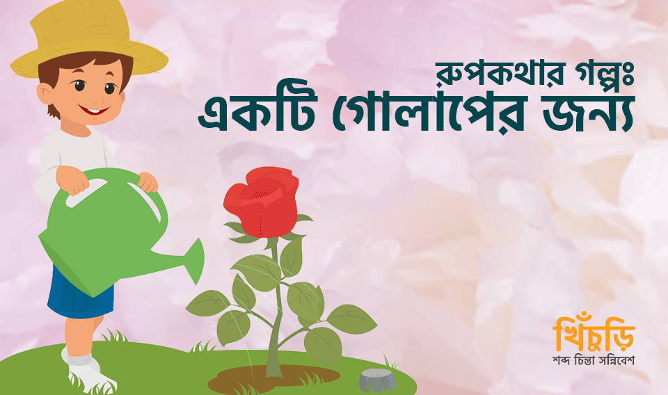 একটি গোলাপের জন্য