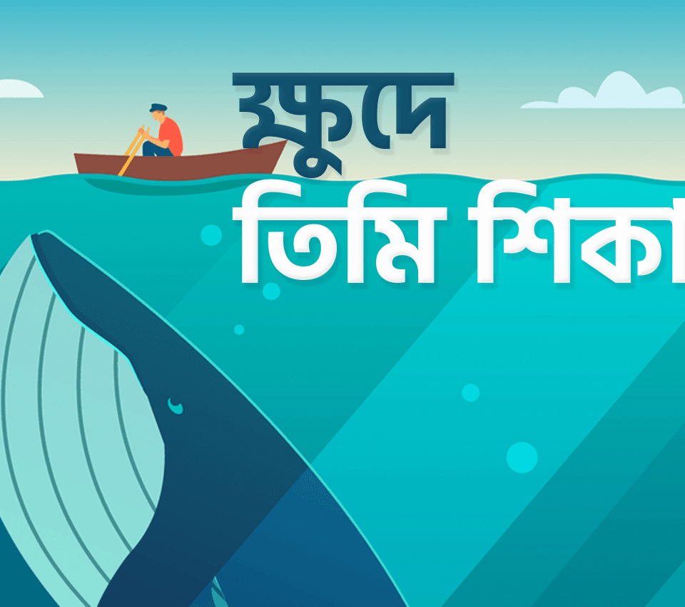 ক্ষুদে তিমি শিকারী