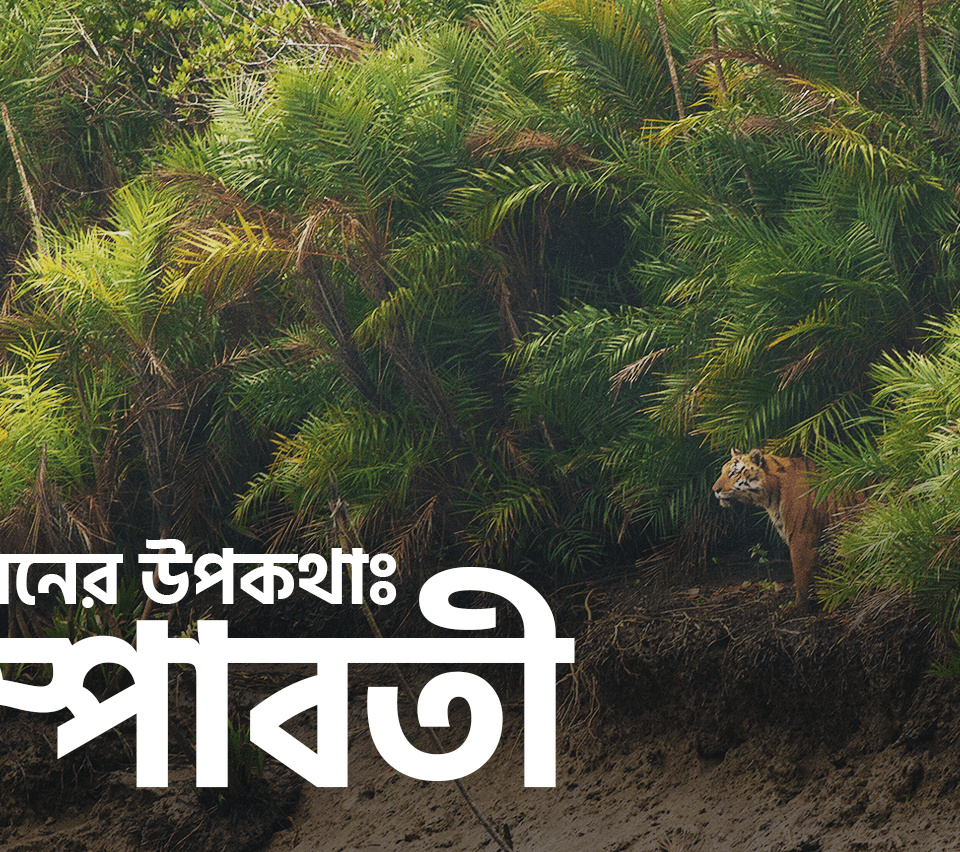 চম্পাবতী