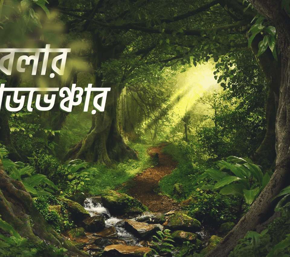 ভ্যাবলার আডভেঞ্চার
